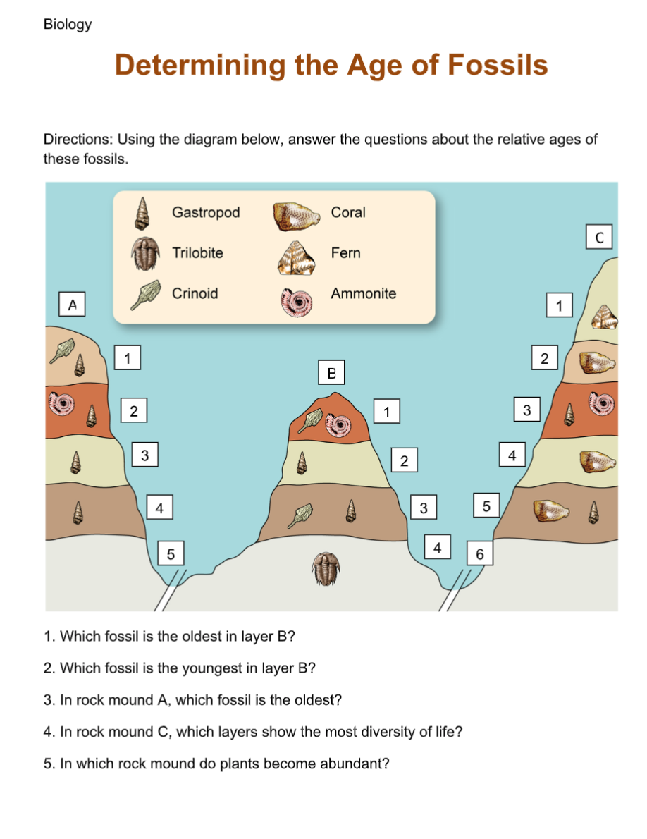 Solved Biology Determining The Age Of Fossils Directions: | Chegg.com