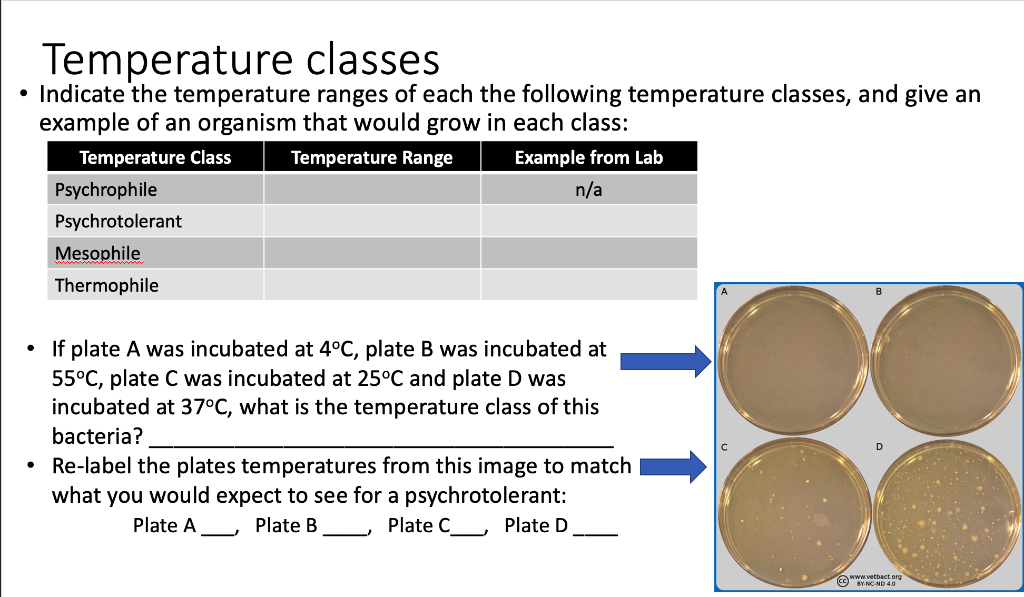 Solved Temperature classes Indicate the temperature ranges
