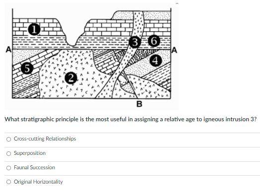 Solved Geologic Time Answer The Questions About The | Chegg.com