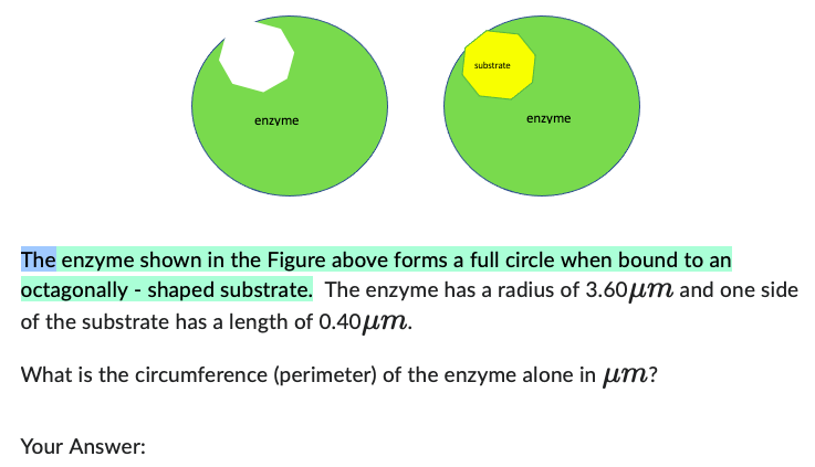 Solved The enzyme shown in the Figure above forms a full | Chegg.com