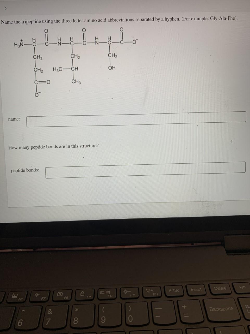 Solved 15 of 23 > After a polypeptide chain has been | Chegg.com