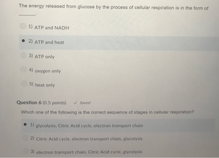 What Compound Directly Provides Energy For Cellular Work Solved What compound directly provides energy for cellular | Chegg.com