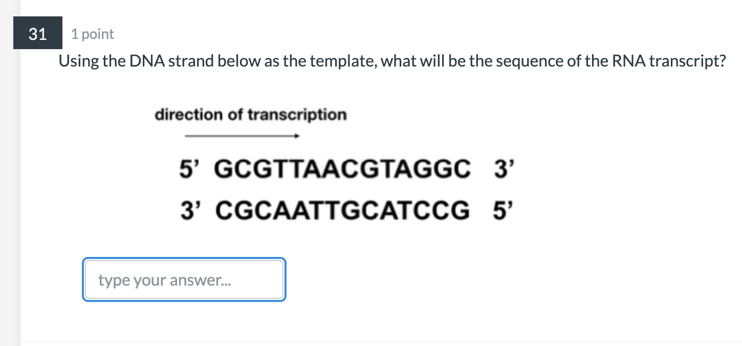 Solved 31 1 point Using the DNA strand below as the | Chegg.com