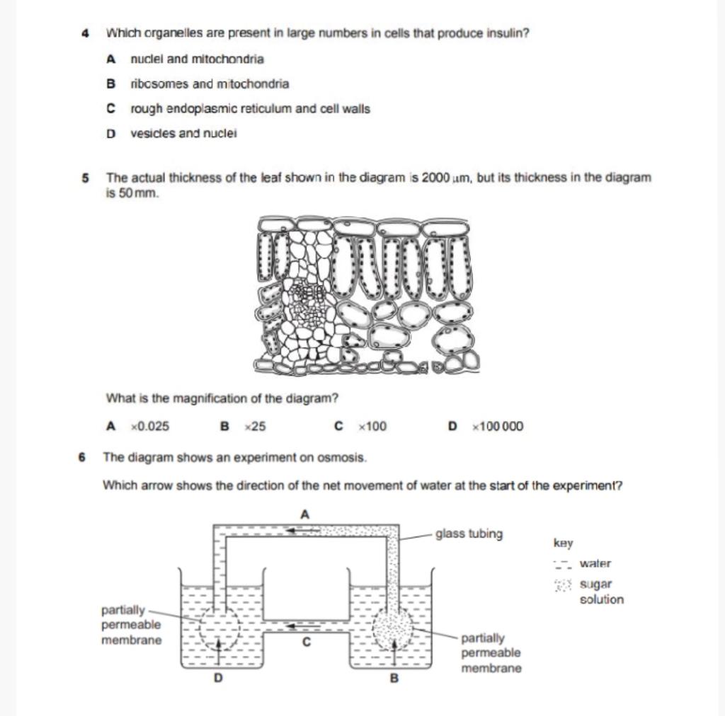 solved-which-organelles-are-present-in-large-numbers-in-chegg