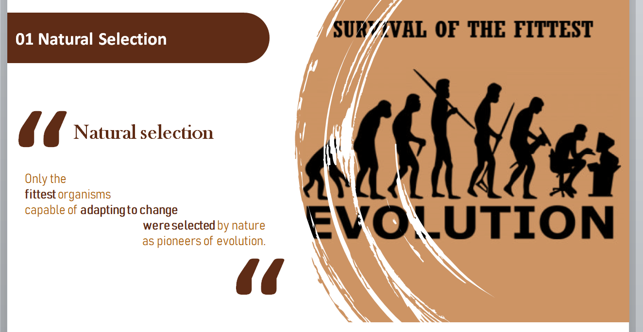 What is Natural Selection (and why it is not 'survival of the fittest')?