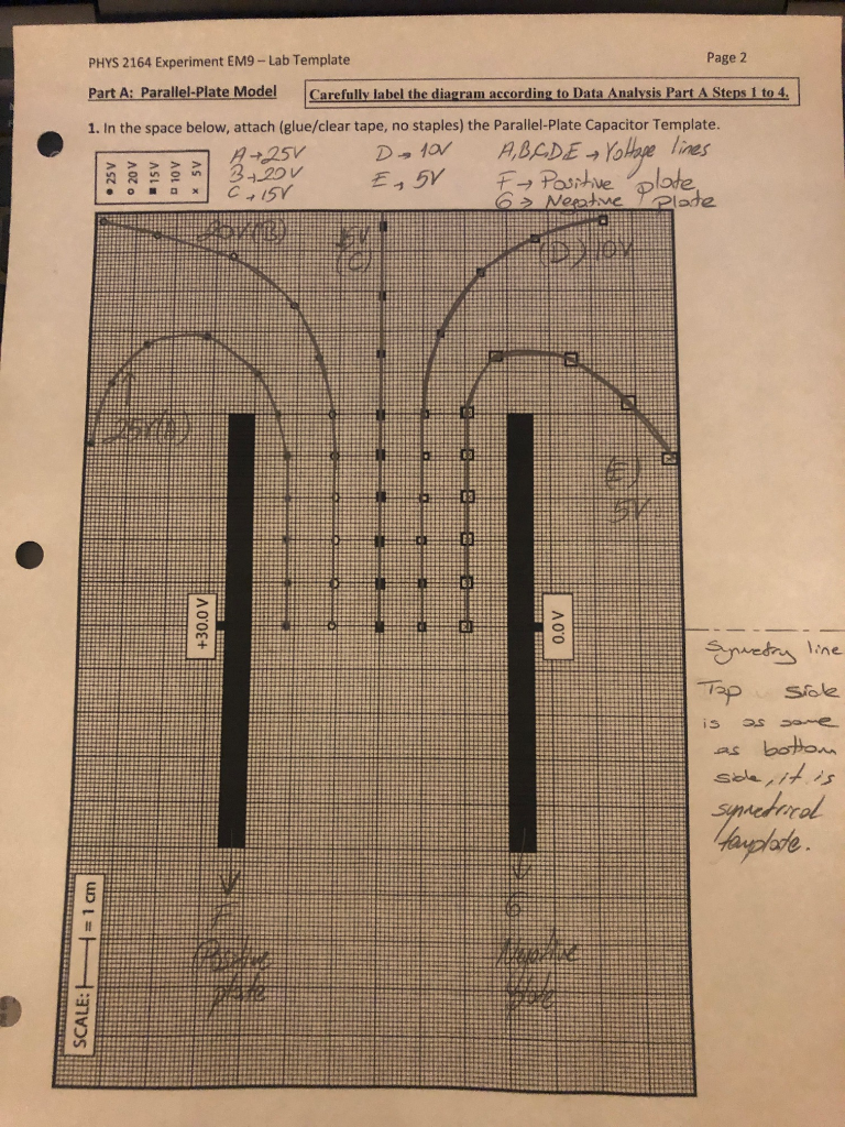 Solved how can I draw the electric field line on this paper | Chegg.com