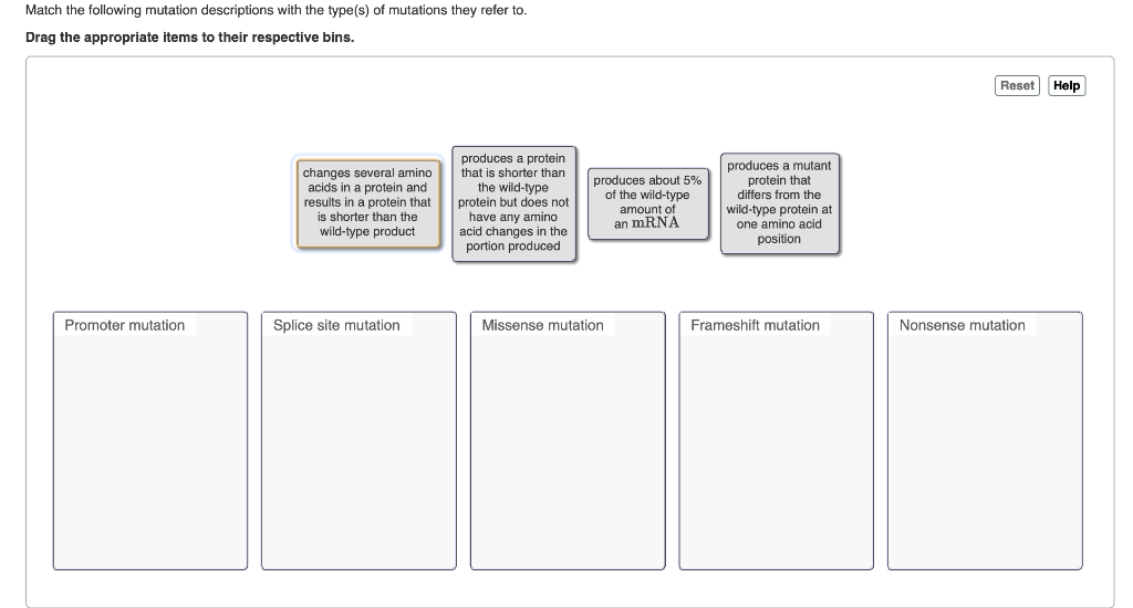 Solved Match the following mutation descriptions with the