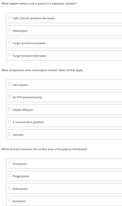 solved-what-happens-when-a-cell-is-placed-in-a-hypotonic-chegg