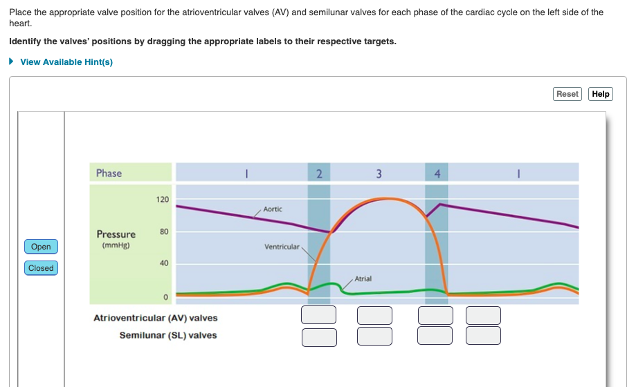 Solved Place the appropriate valve position for the