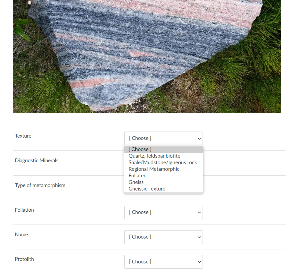 Solved Texture [Choose1 Diagnostic Minerals Choose1 Type of | Chegg.com