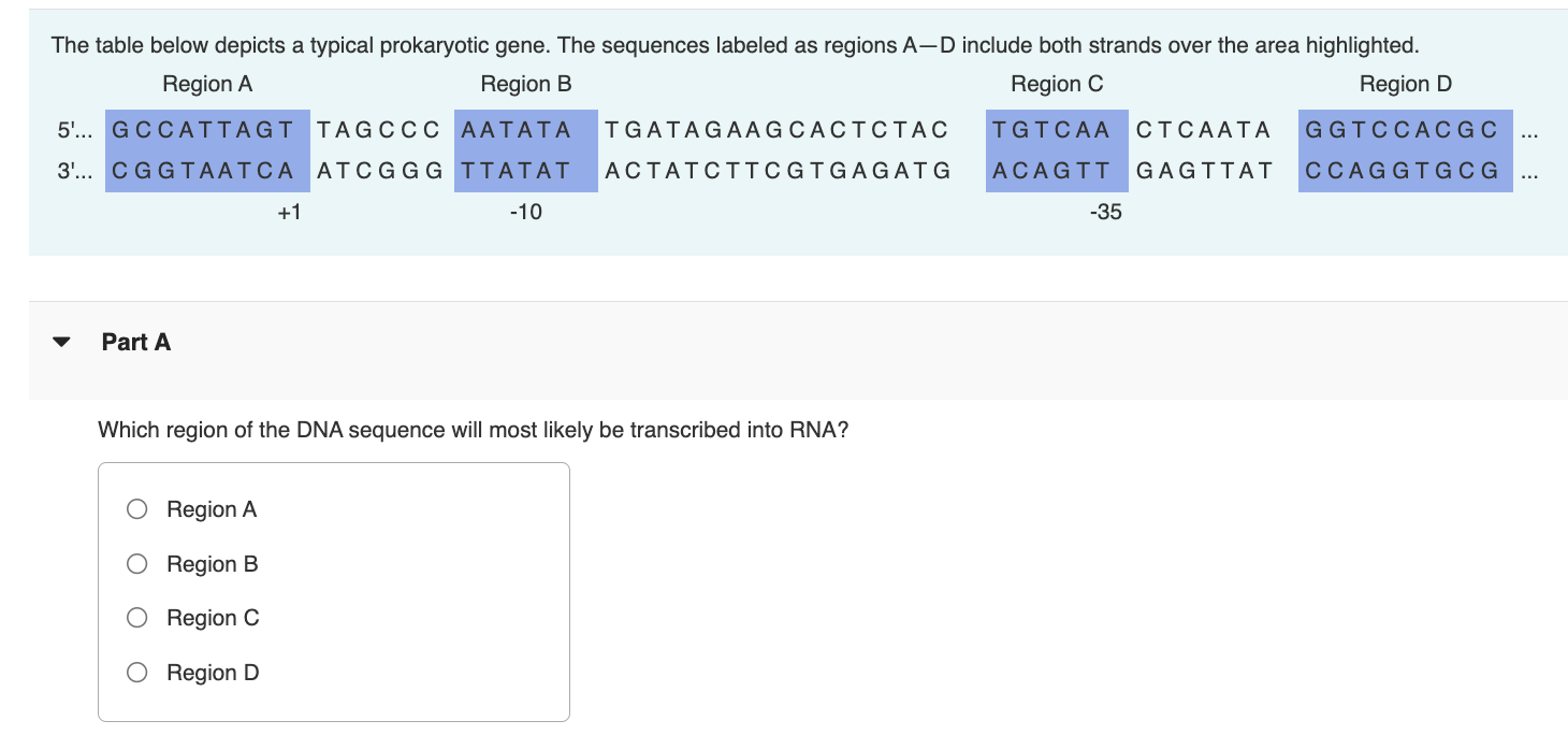 Solved The table below depicts a typical prokaryotic gene. | Chegg.com