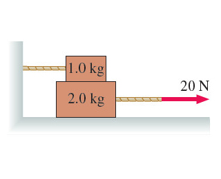 Solved The 1.0 kg block in the figure is tied to the wall | Chegg.com