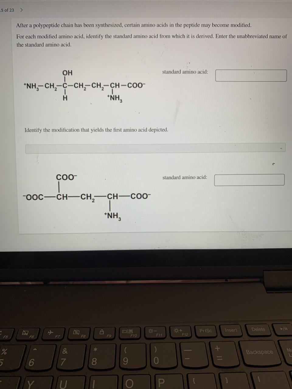 Solved 15 of 23 > After a polypeptide chain has been | Chegg.com
