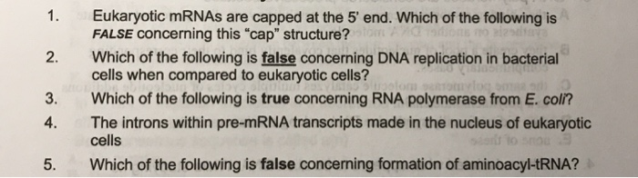 1. Eukaryotic mRNAs are capped at the 5' end. Which | Chegg.com