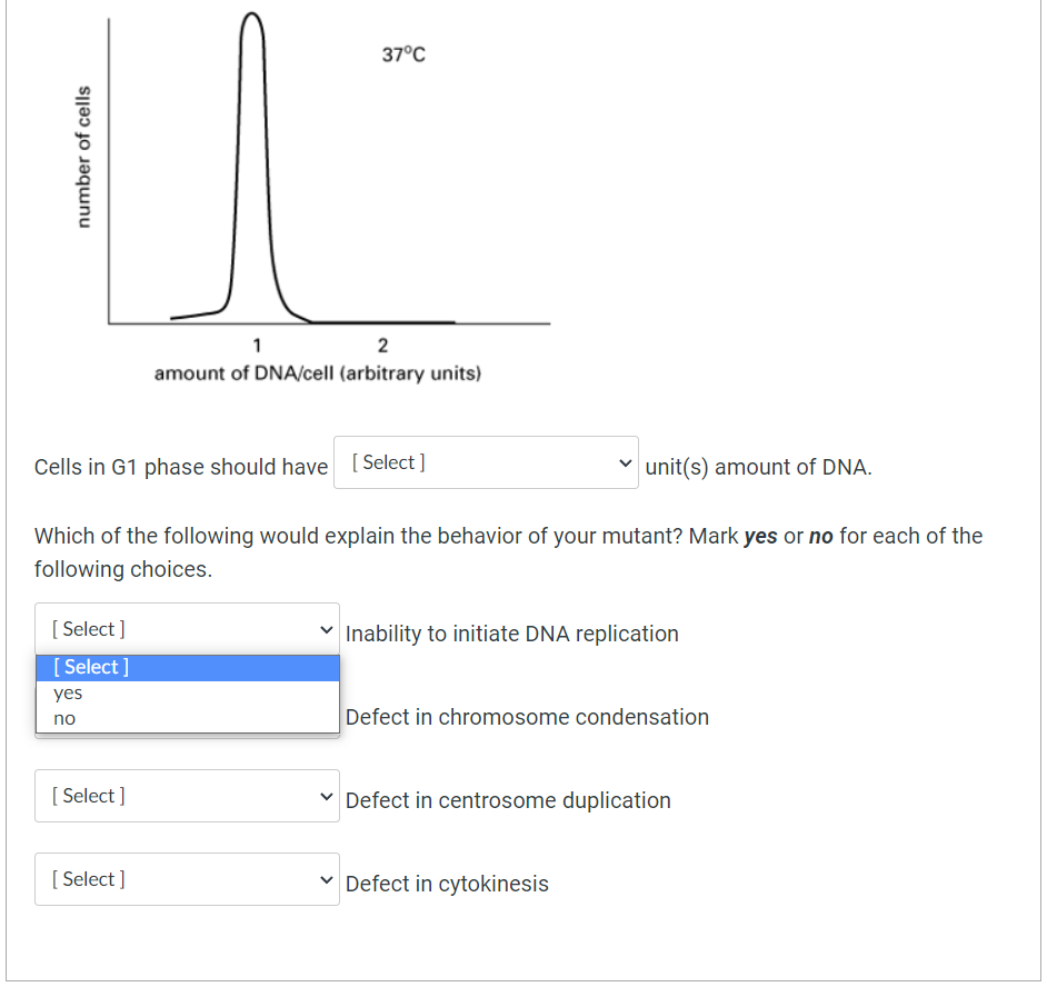 Solved Cells in G1 phase should haveCells in G1 phase should Biology Diagrams