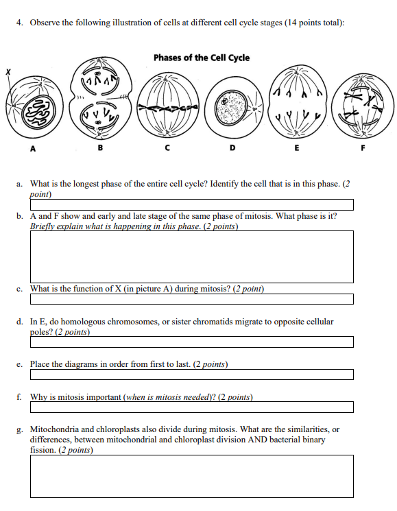 Solved Use the following image to answer the following | Chegg.com