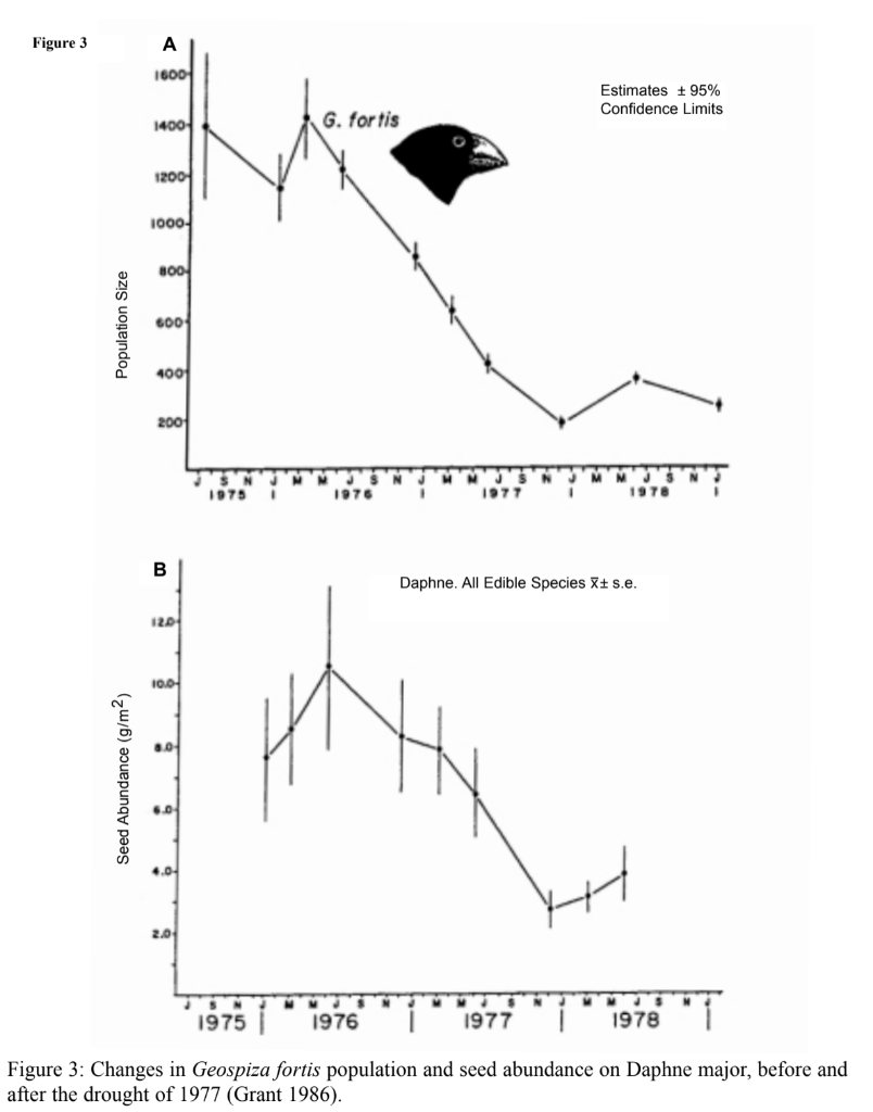 grants research on finches