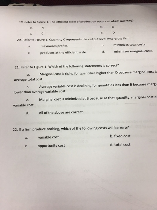 19. Refer to Figure 1. The efficient scale of