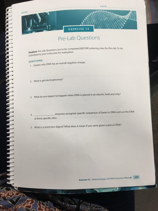 What Do Bases Mean In Dating Telegraph