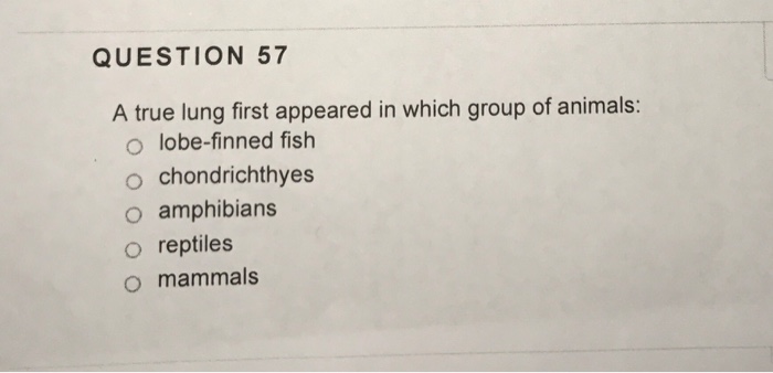 Solved QUESTION 57 A true lung first appeared in which group | Chegg.com