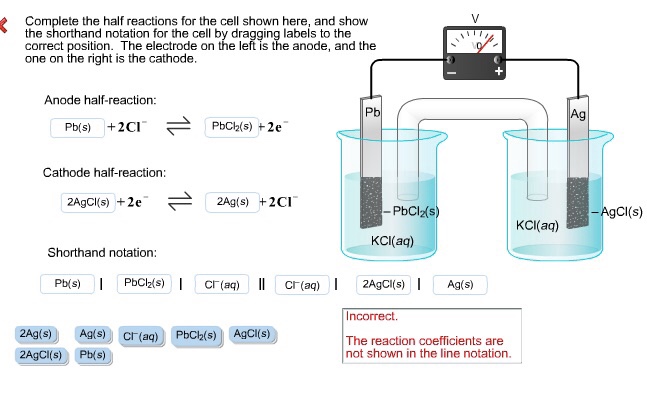 solved-complete-the-half-reactions-for-the-cell-shown-here-chegg