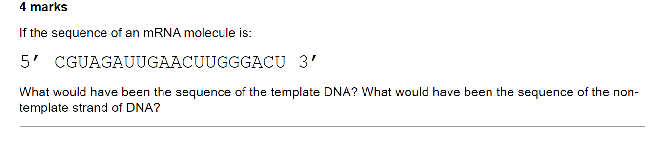 If the sequence of an mRNA molecule is:
5 CGUAGAUUGAACUUGGGACU \( 3^{\prime} \)
What would have been the sequence of the tem