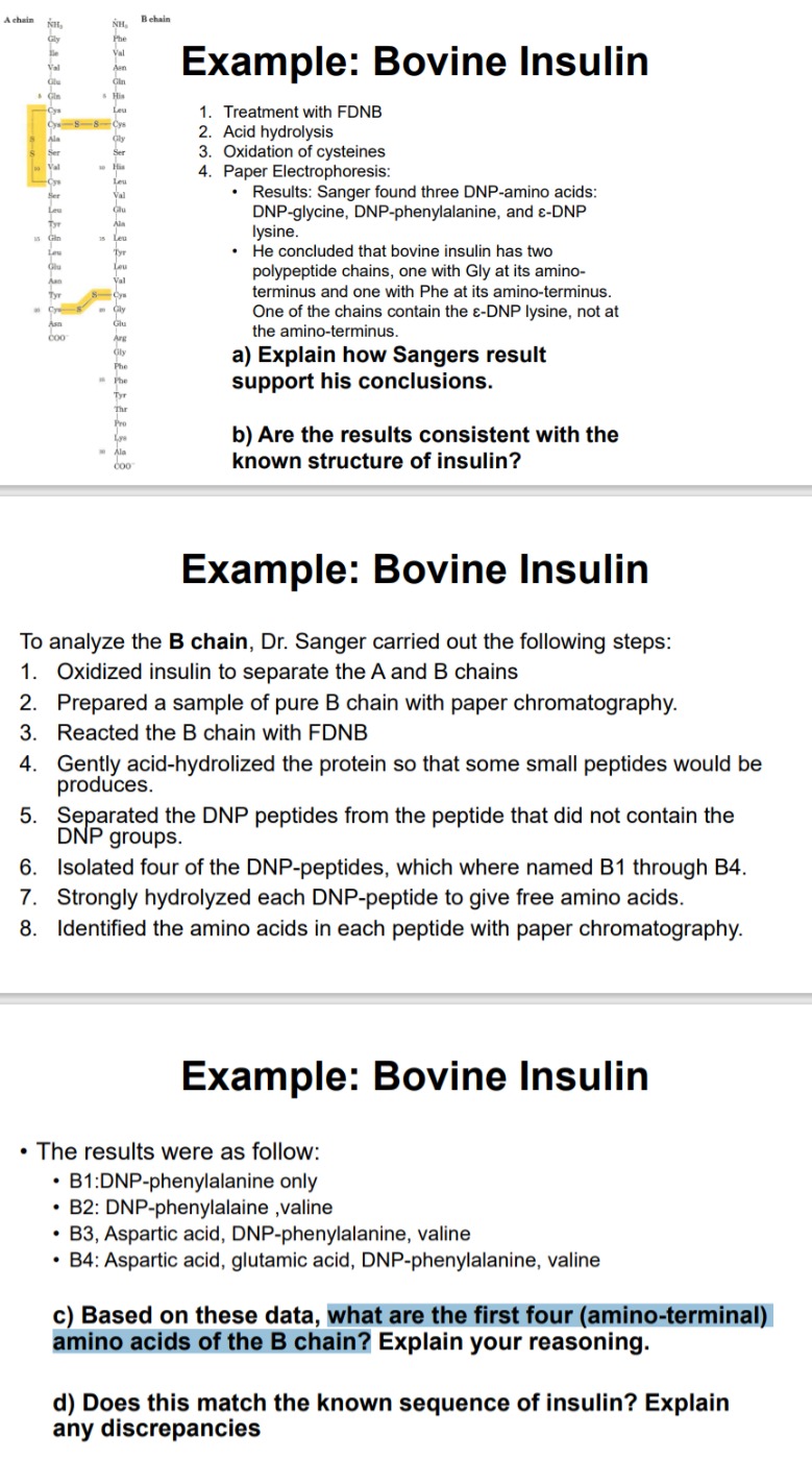 Solved d) Does this match the known sequence of insulin? | Chegg.com