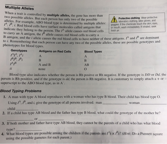 Solved Multiple Alleles When A Trait Is Controlled By | Chegg.com