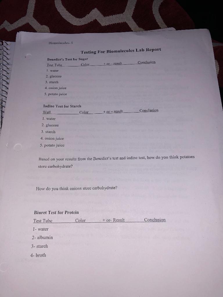 Biomoleculess Testing For Biomolecules Lab Report