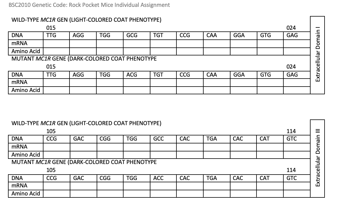 Solved BSC2010 Code Rock Pocket Mice Individual