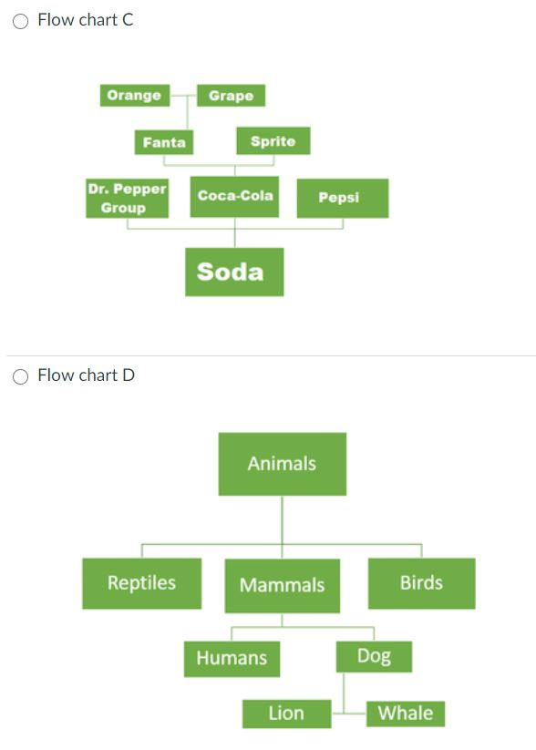 Solved Which of the following flow charts is the best | Chegg.com