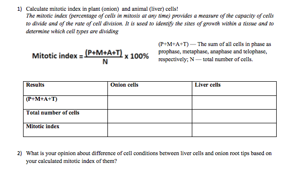 Solved 1) Calculate mitotic index in plant (onion) and Biology Diagrams