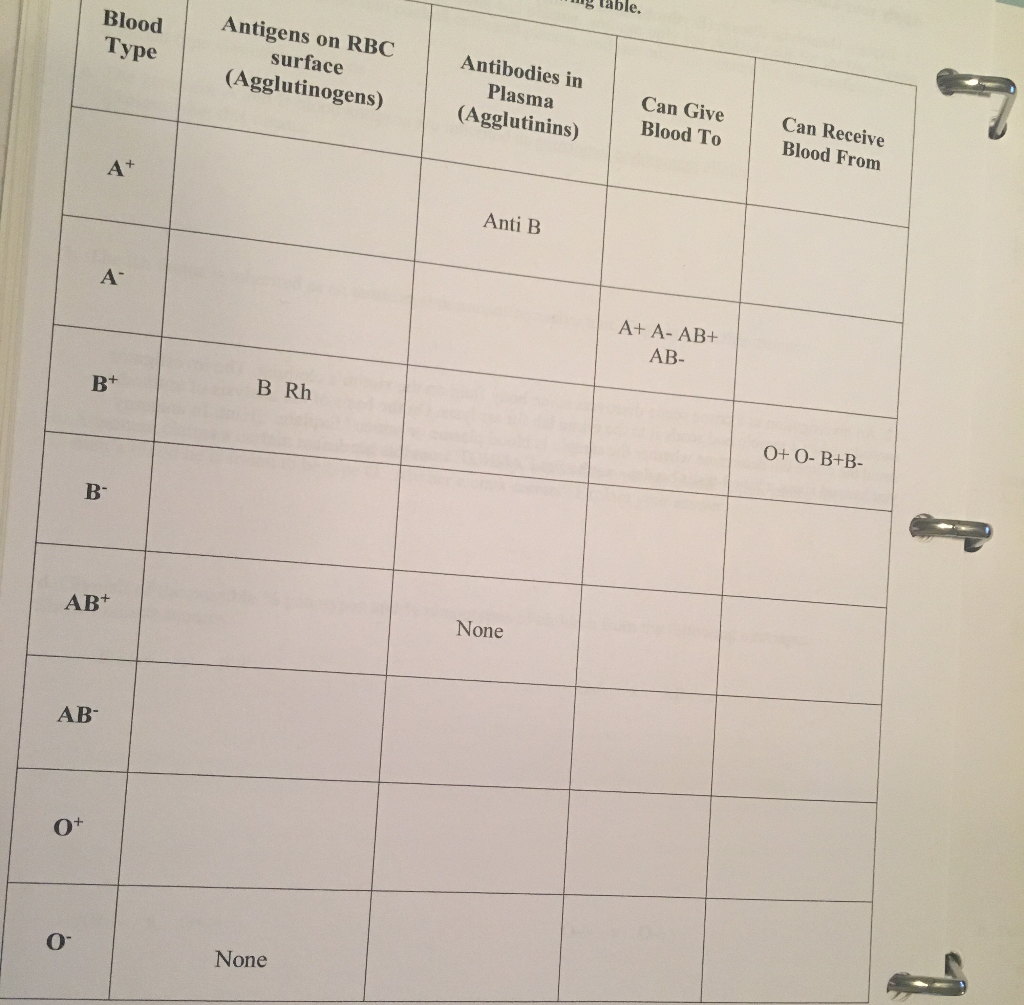 solved-blood-type-antigens-on-rbc-surface-agglutinogens-chegg