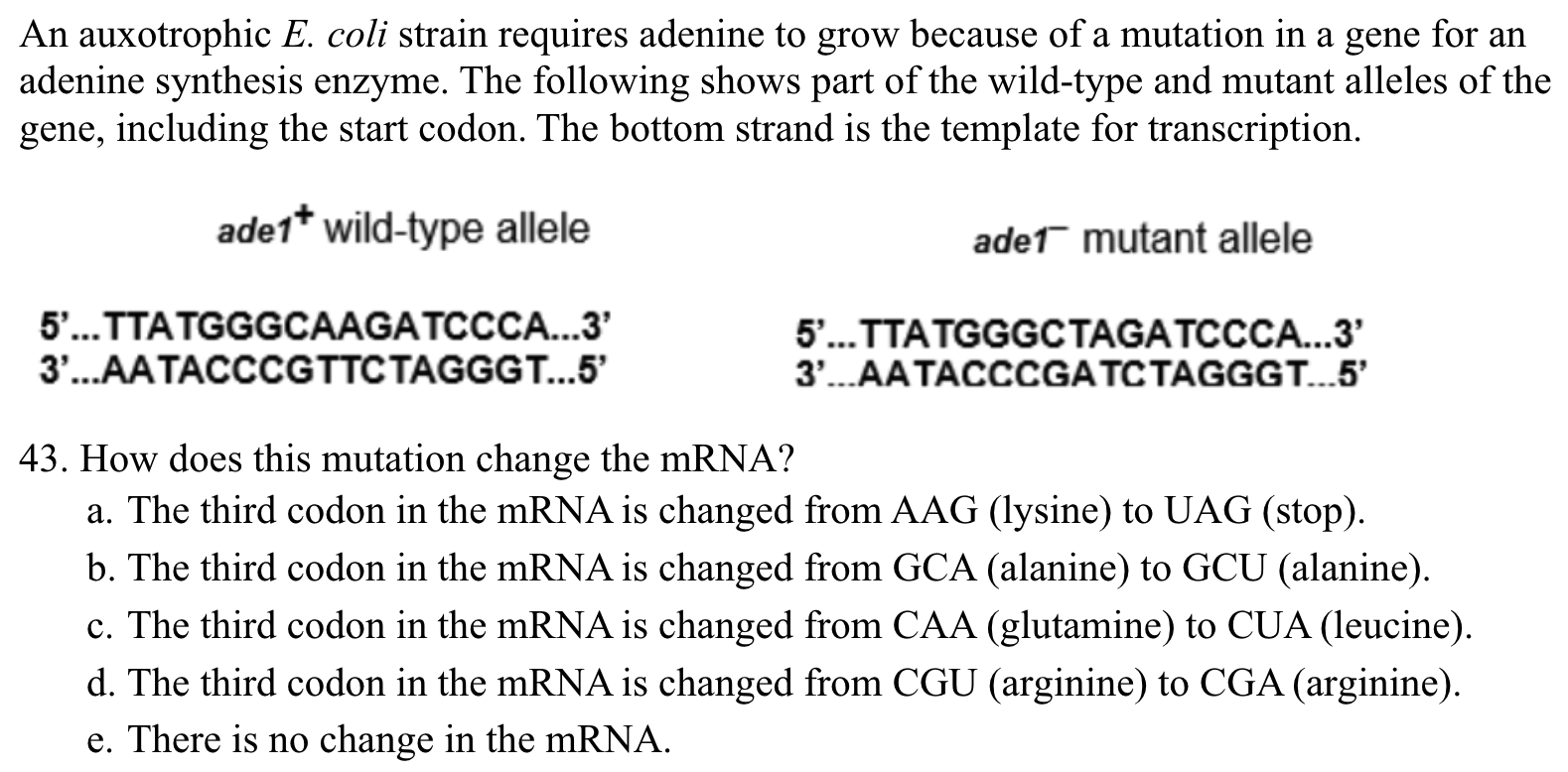 Solved An auxotrophic E. coli strain requires adenine to | Chegg.com