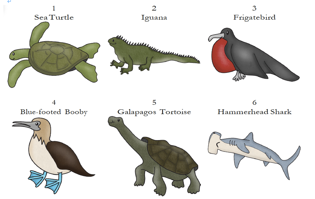 Dichotomous Key | Chegg.com