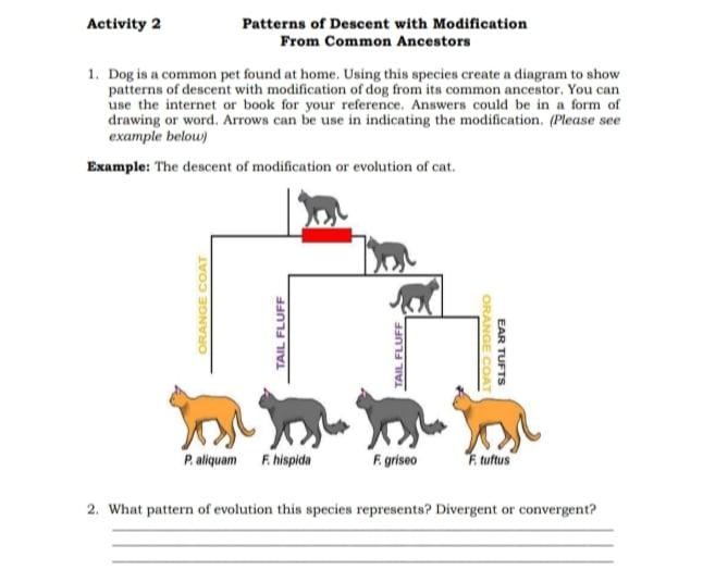 what are dog ancestors