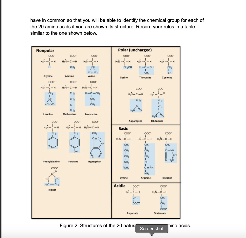 Solved Exercise A Amino Acid Functional Groups Figure 1