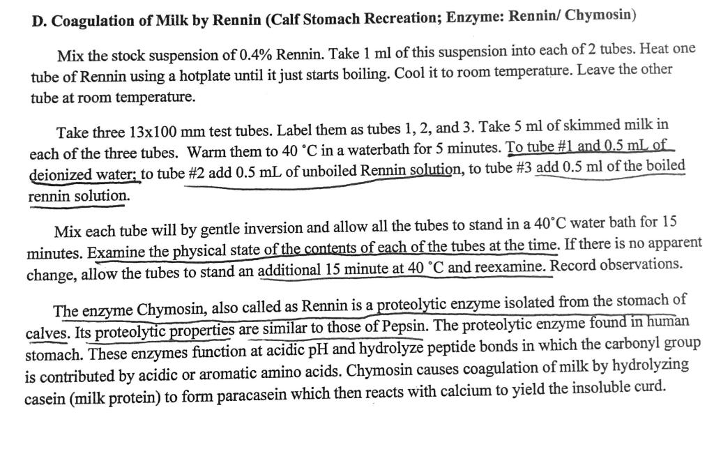 rennin milk experiment