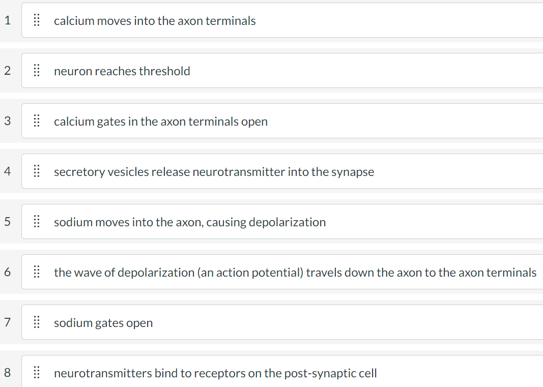 depolarization of an axon during an action potential results from
