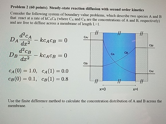 Solved Problem 2 (60 points). Steady-state reaction | Chegg.com