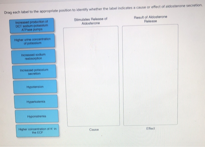 Solved Drag each label to the appropriate position to | Chegg.com
