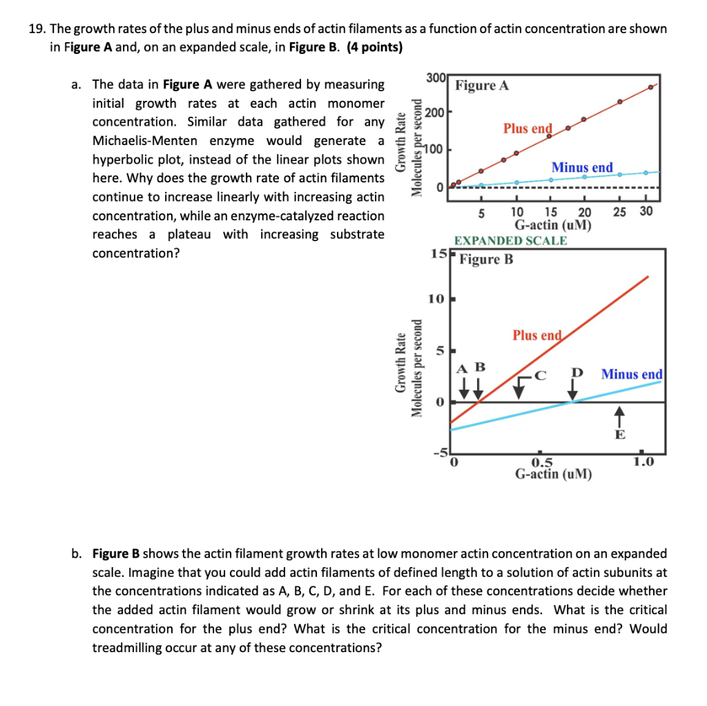 19. The growth rates of the plus and minus ends of | Chegg.com