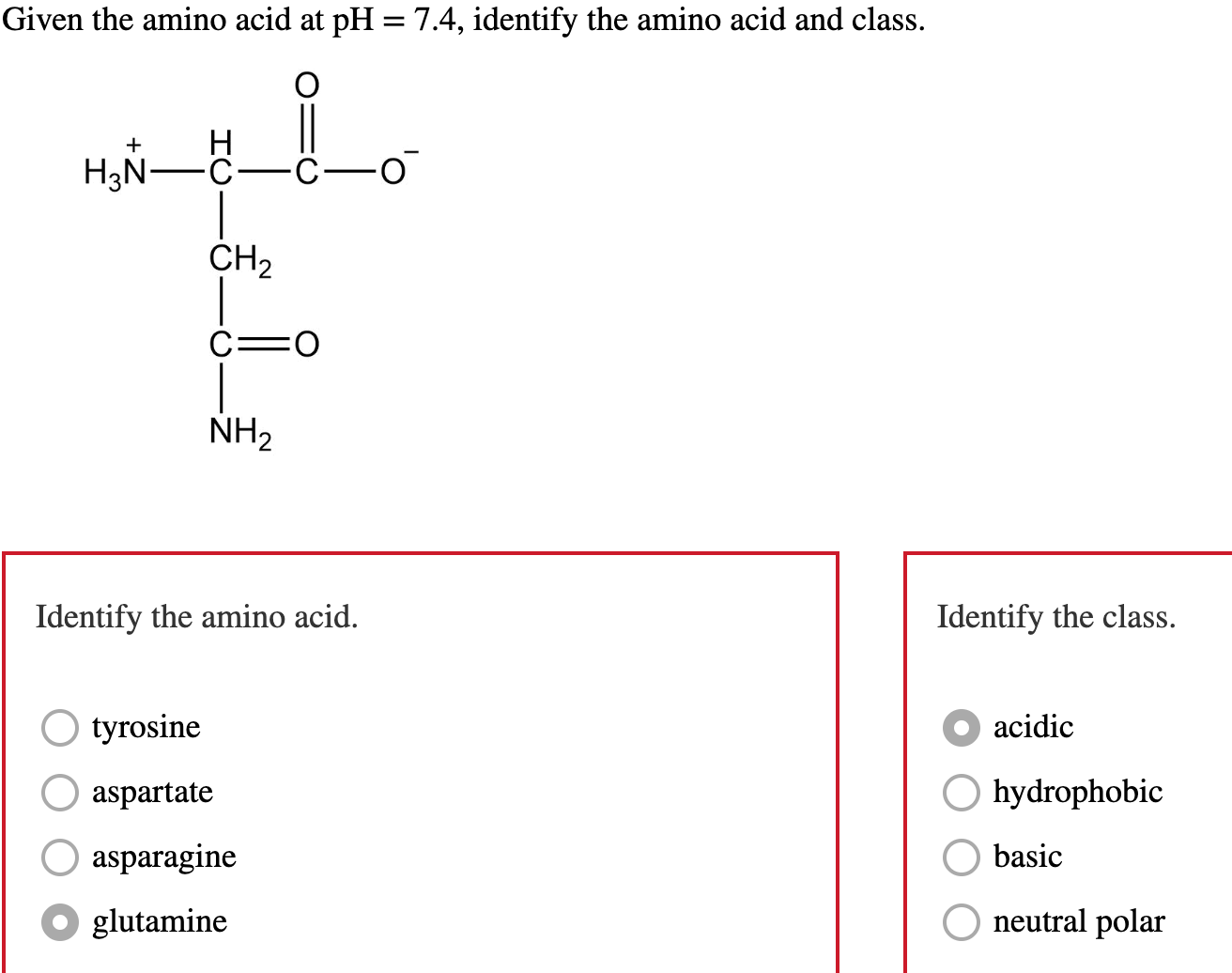 Solved Given the amino acid at pH=7.4, identify the amino | Chegg.com