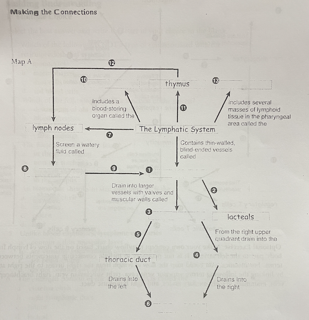 making connections lab design an experiment answer key