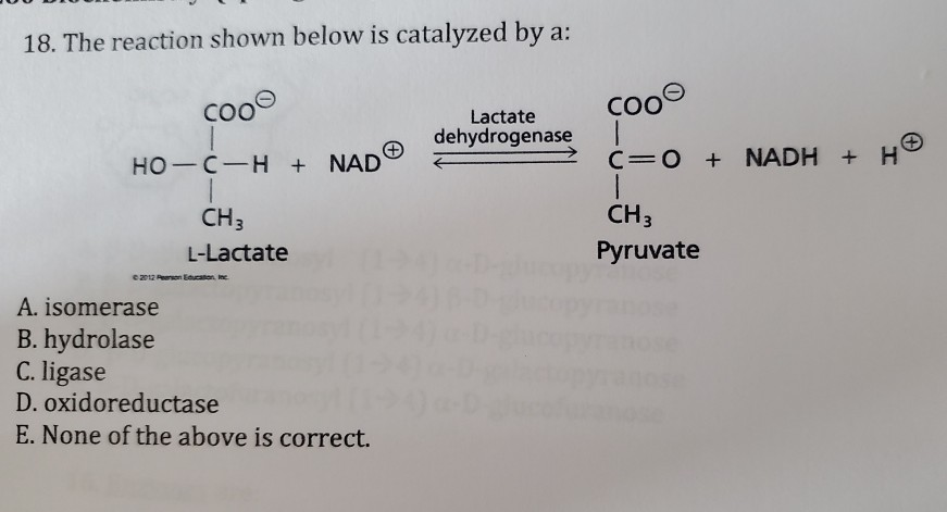 Solved 18 The Reaction Shown Below Is Catalyzed By A So Chegg Com