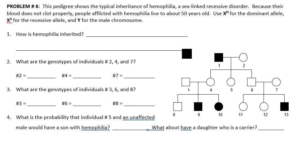 Solved PROBLEM \# 6: This pedigree shows the typical | Chegg.com