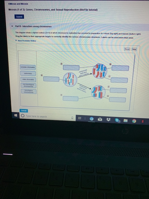 Solved Matching Reproduction Concepts Chromosomal Chegg Com