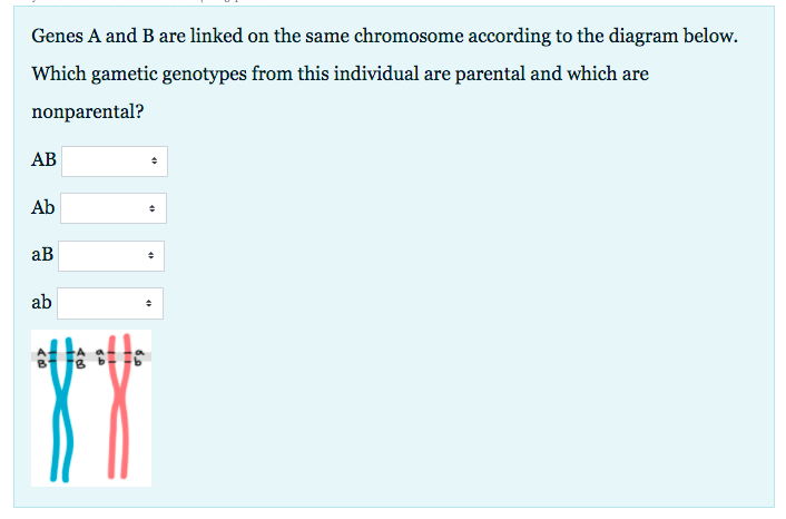 Solved Genes A And B Are Linked On The Same Chromosome | Chegg.com