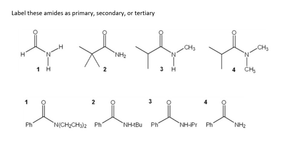 Solved Label these amides as primary, secondary, or tertiary | Chegg.com
