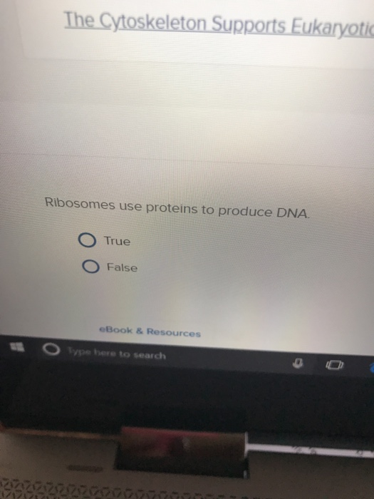 Solved Ribosomes use proteins to produce DNA True False